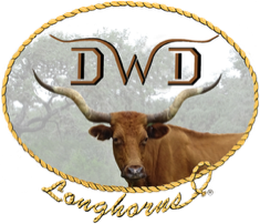 DWD Longhorns logo with head of red twisty-horned Texas Longhorn cow