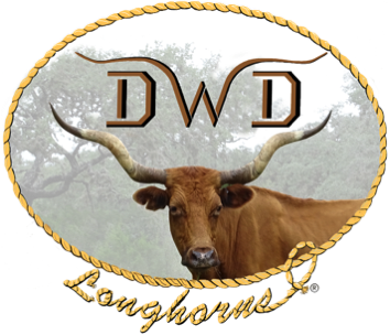 DWD Longhorns logo with head of red twisty-horned Texas Longhorn cow